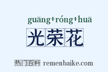 光荣花是什么意思的图片